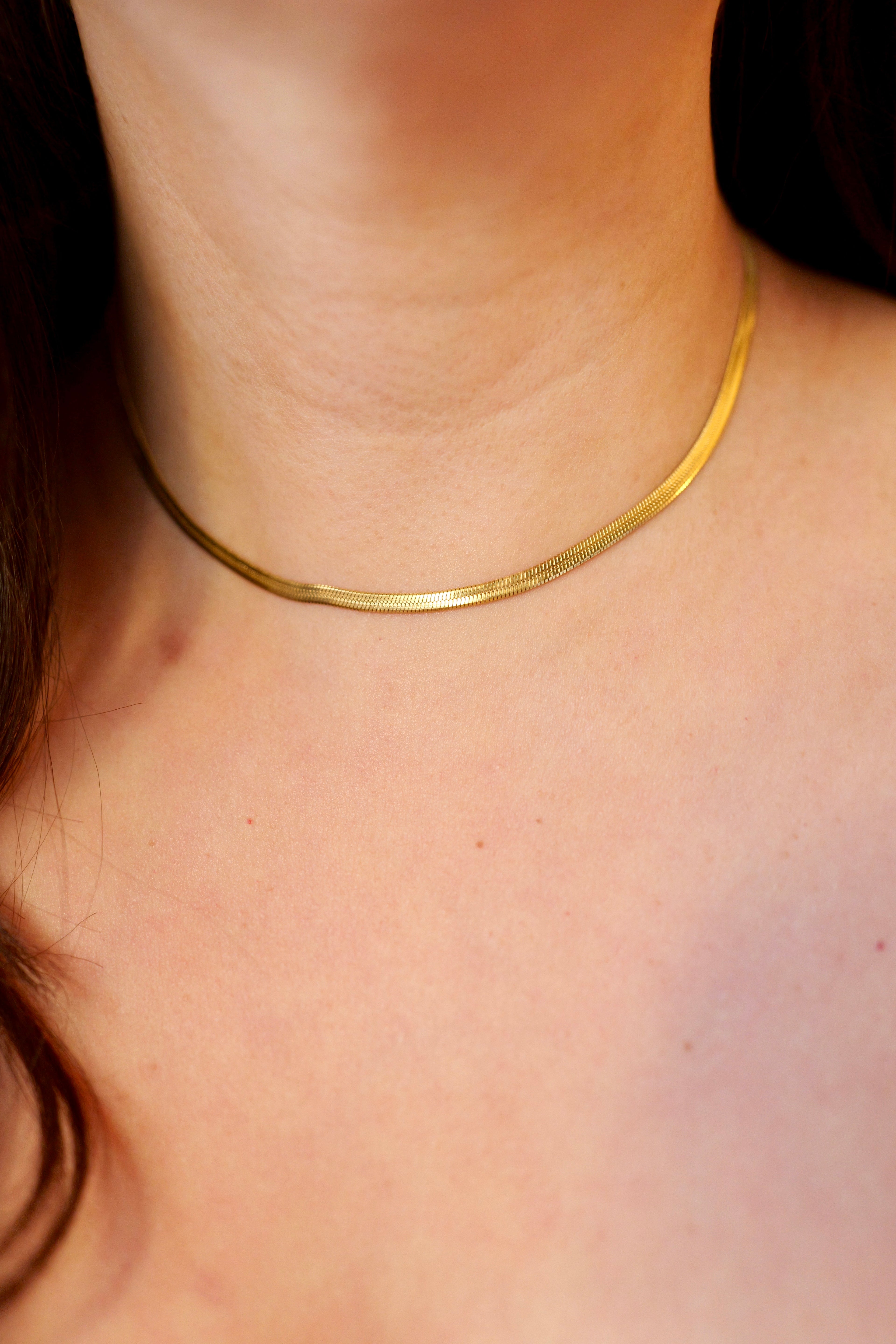 Sylvie 18K Gold Stainless Steel Non-Tarnish Herringbone Necklace