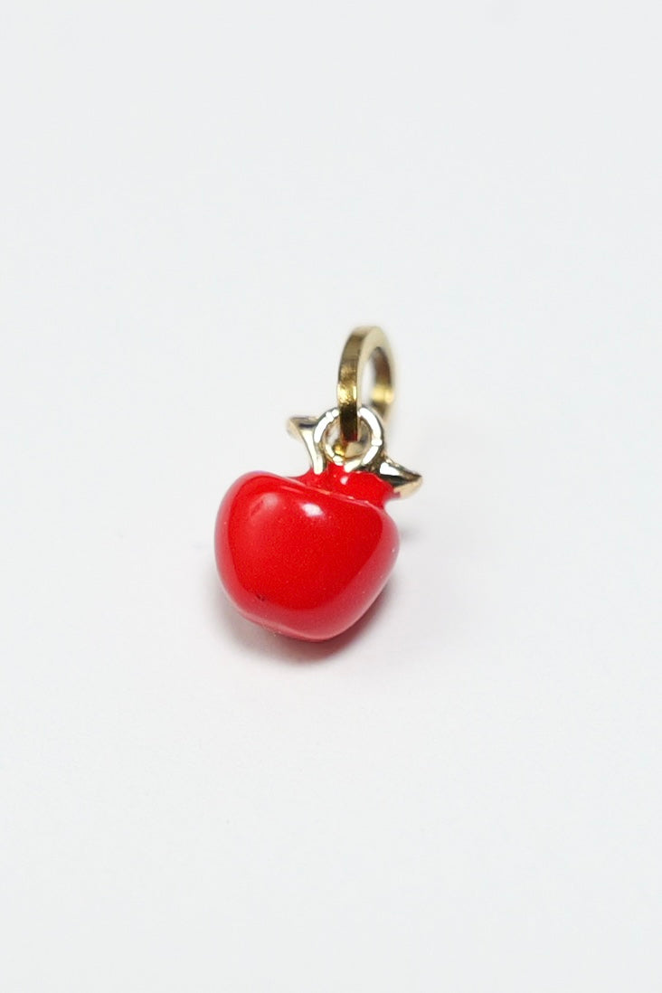 Stainless Steel Non Tarnish Charms