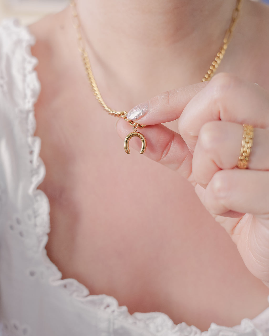 Lucky Charm Horseshoe Necklace