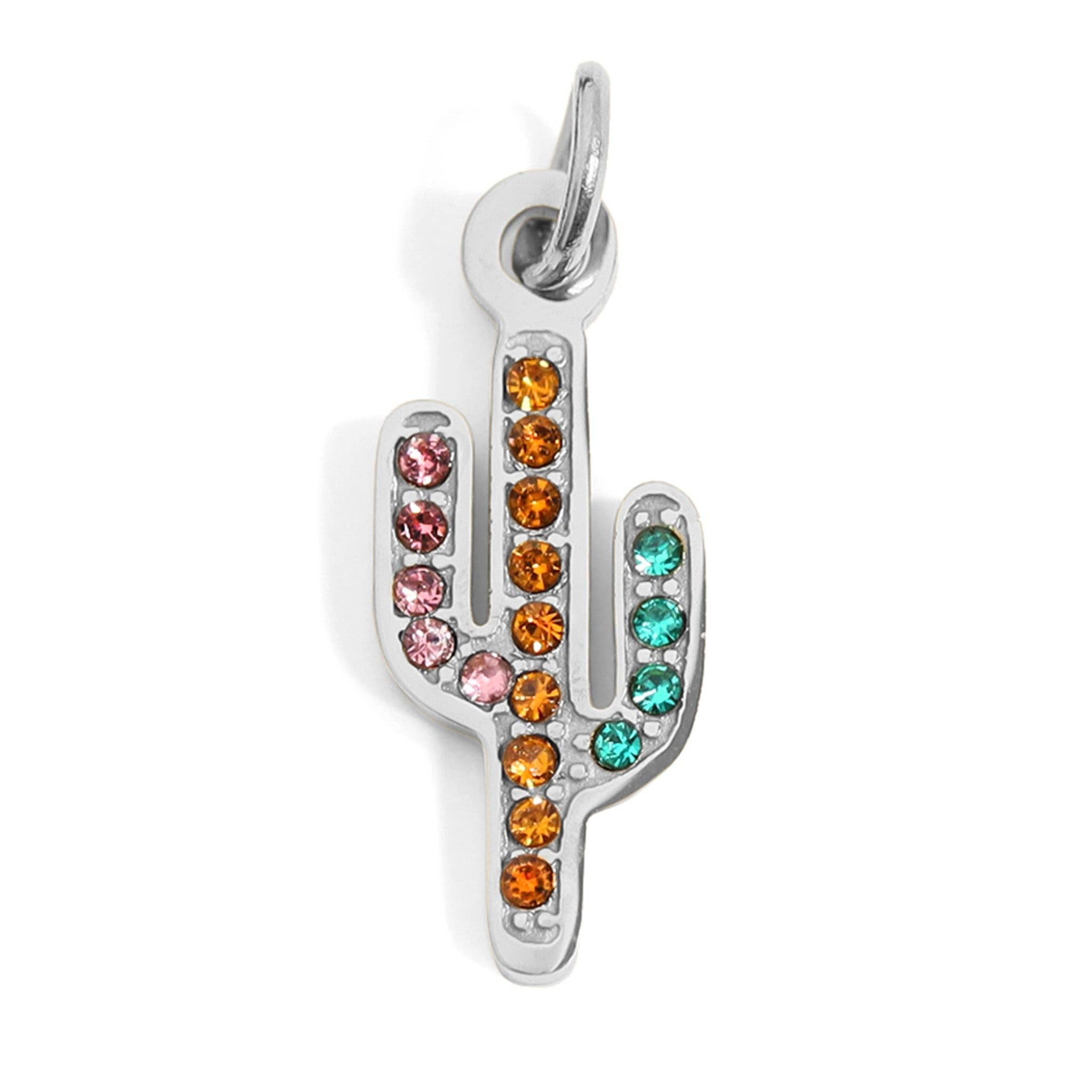 Stainless Steel Silver Charms